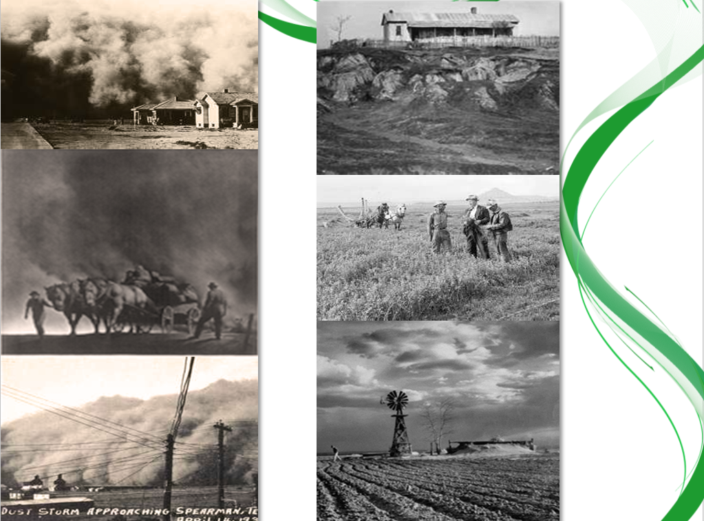 In a brutal twist of fate, the rains stopped. By 1932, 14 dust storms, known as black blizzards were reported, and in just one year, the number increased to nearly 40. Millions of people fled the region. The government enacted aid programs to help, but it wasn't until 1939 when the rain returned that relief came. Plow-based farming in this region cultivated an unexpected yield: the loss of fertile topsoil that literally blew away in the winds, leaving the land vulnerable to drought and inhospitable for growing crops.