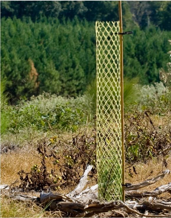 Rabbit guard and support stick Yellow plastic netting tube with bamboo support stick